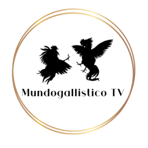 MundoGallisticoTV